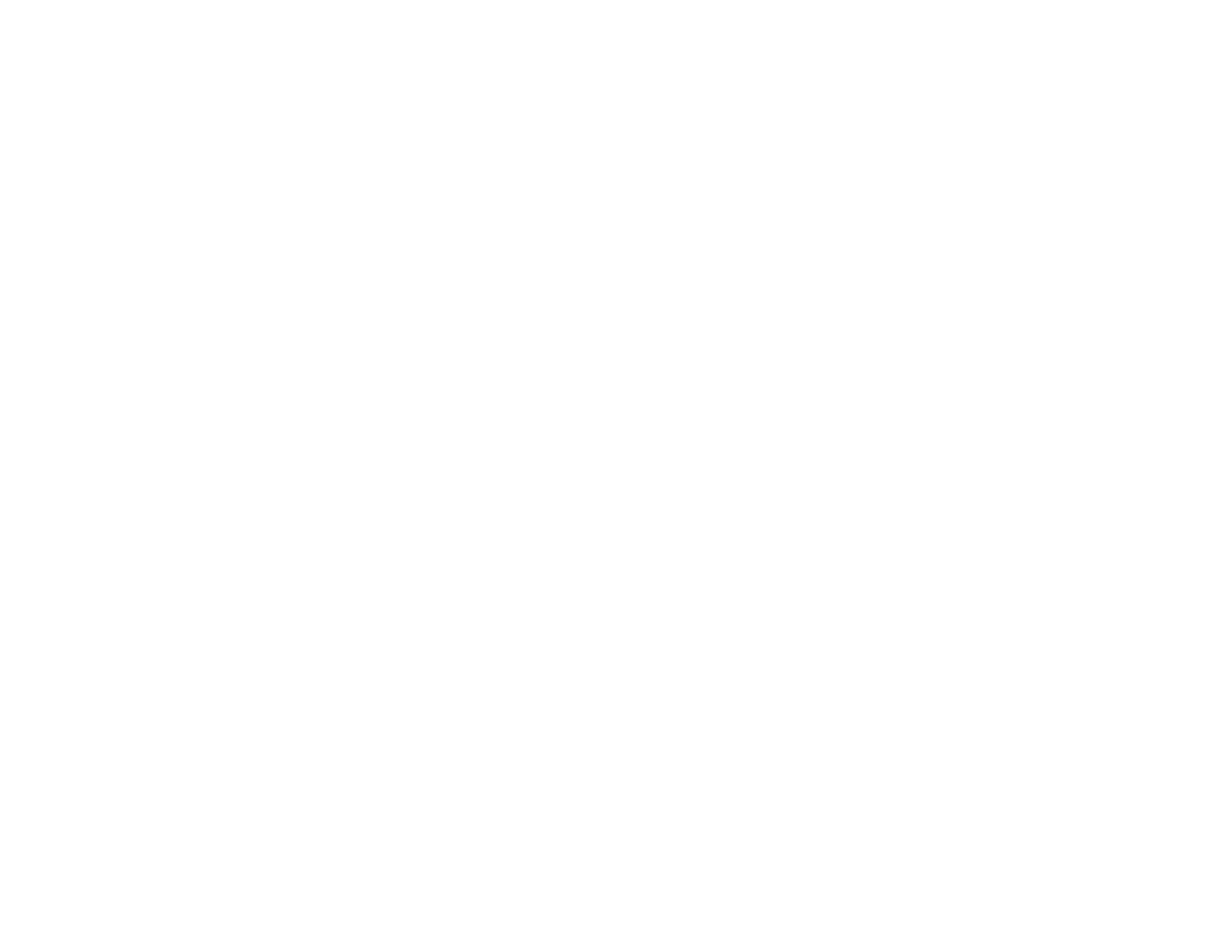 DTSwiss_Logo_Vector-01