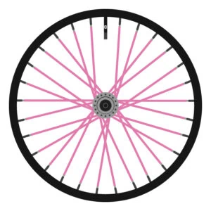 Berd Pink Paint (Full Color)