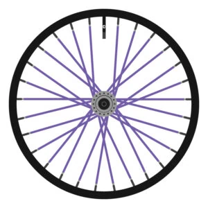 Berd Purple Paint (Full Color)