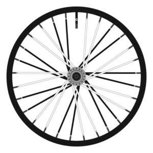 Black + White Spiral