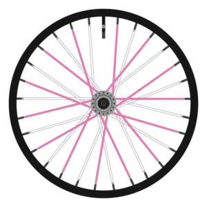 Berd White and Pink (Alternating)