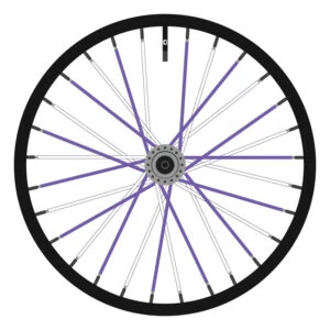 Berd White and Purple (Alternating)