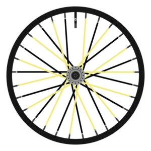 Berd Black and Yellow (Alternating)