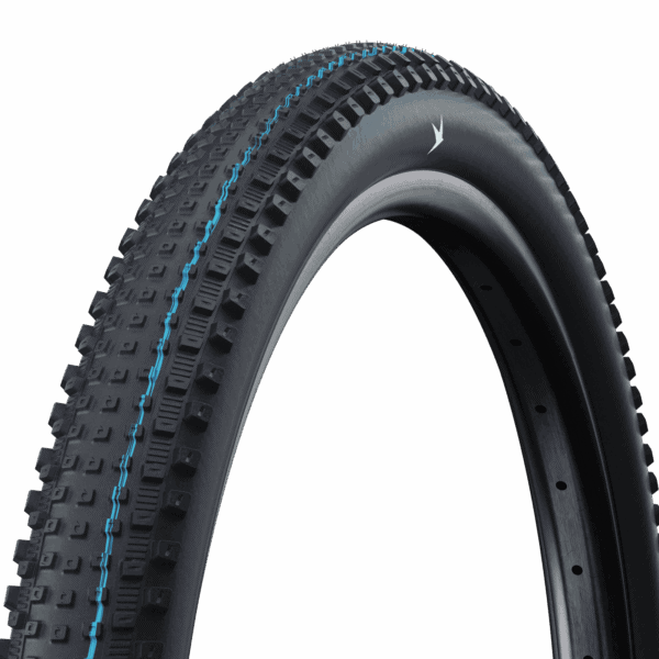 Schwalbe Rick Tire