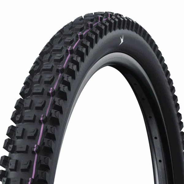 Schwalbe Albert Radial Tire